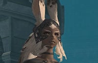 Viera