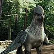 Hippogriff