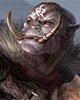 Orc