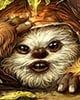 Ewok